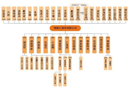 御家匯IPO周三上會 年入11億背后，面膜業(yè)務(wù)與軟件及輔助設(shè)備批發(fā)的商業(yè)邏輯