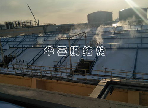 大連石化污水處理廠污水管網工程建設與管理探討