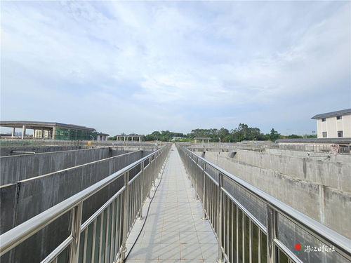 遂溪濱河新生 一期污水處理廠及配套管網主體竣工，繪就綠色發展新底色